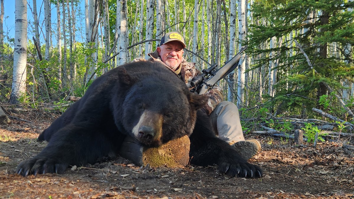 Fred Mastison tweet media