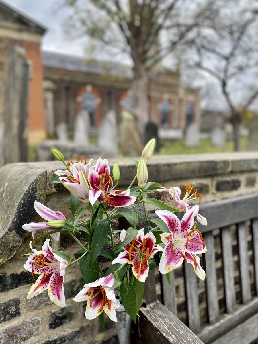 “There is a life and there is a death, and there are beauty and melancholy between.”

~ Albert Camus, Notebooks