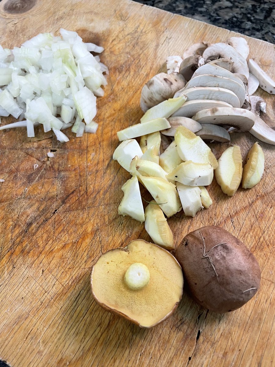 No les agafeu que son tòxics😂😂😂😂