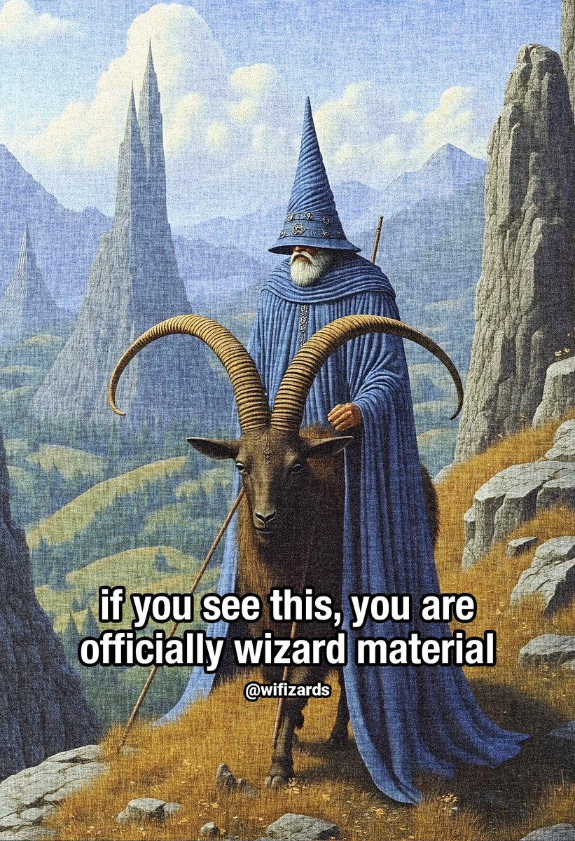 World Wise Wizads (@wifizards) on Twitter photo 