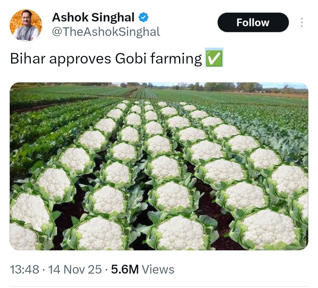 It is shocking that a BJP leader who is a sitting cabinet minister in Assam is openly employing an imagery that is tied to one of the darkest episodes in our history. 116 Muslims, including women and children, were butchered, burned and shot in cold blood on October 27, 1989, in