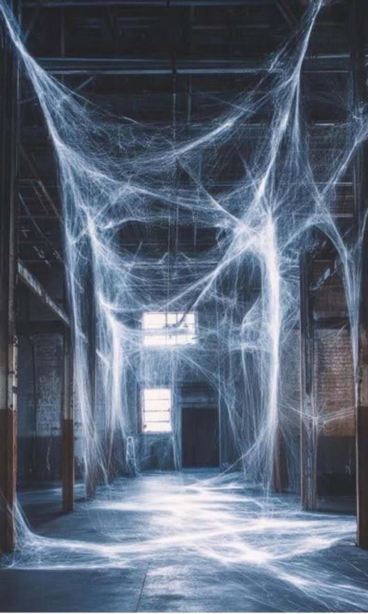 CS Ruku's office since they declared the date for the Mbeere North by-election.