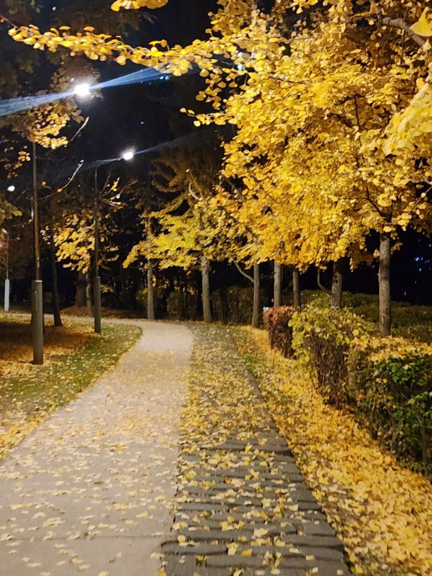 저는 <a href="/joolee8013/">Byeorangan 별안간등장 Premium+ 🐋 TermMax</a> 님이 써주신 신호등 비유글이 쉽게 잘 읽혀져서 다시 보려고 인용을 해봅니다! 

<a href="/RiverdotInc/">River</a> 의 메카니즘 업데이트 내용을 다시 확인해보시죠! <a href="/River4fun/">River4FUN 🐝</a> #RiverPts

쉽고 좋은글 감사해요~!