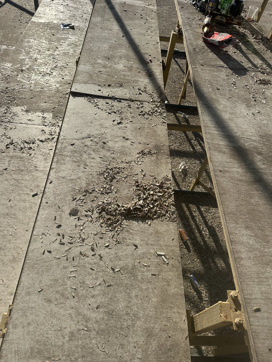 Amiral turgutreis  futbol sahası. Az önce buradan spor sever ama çevre korumayı sevmez erkek sürüsü kalktı. Siz eğitilmezsiniz