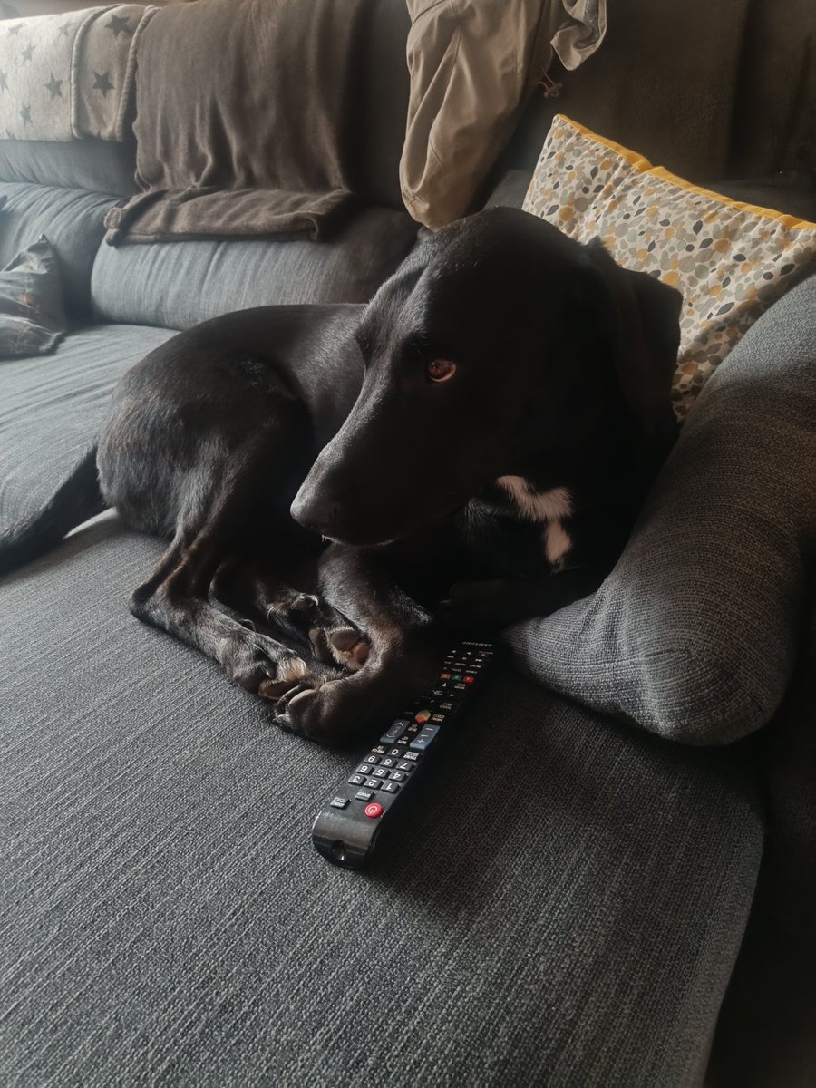 Tinc el comandament!!!! #viumillorquevol #urko #vidadegos