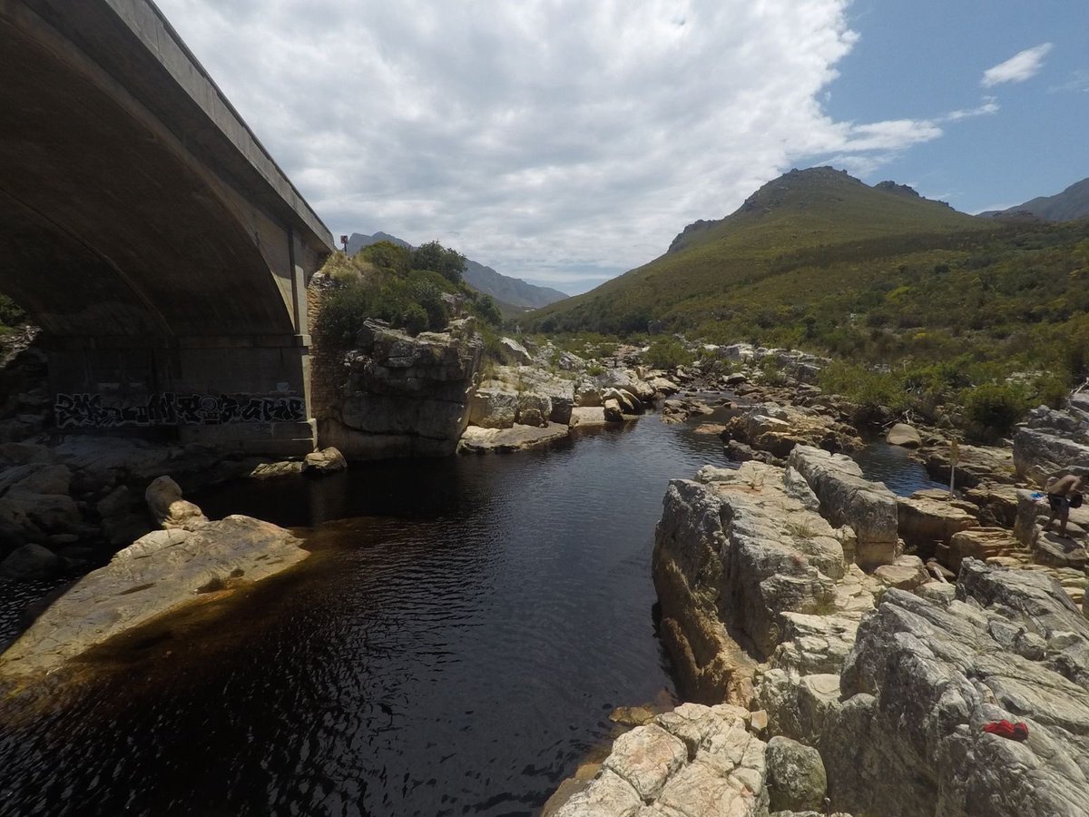 Yazeed Kamaldien tweet media