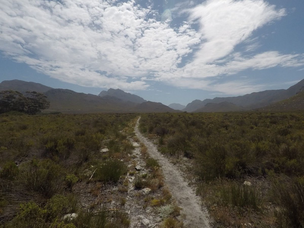 Yazeed Kamaldien tweet media