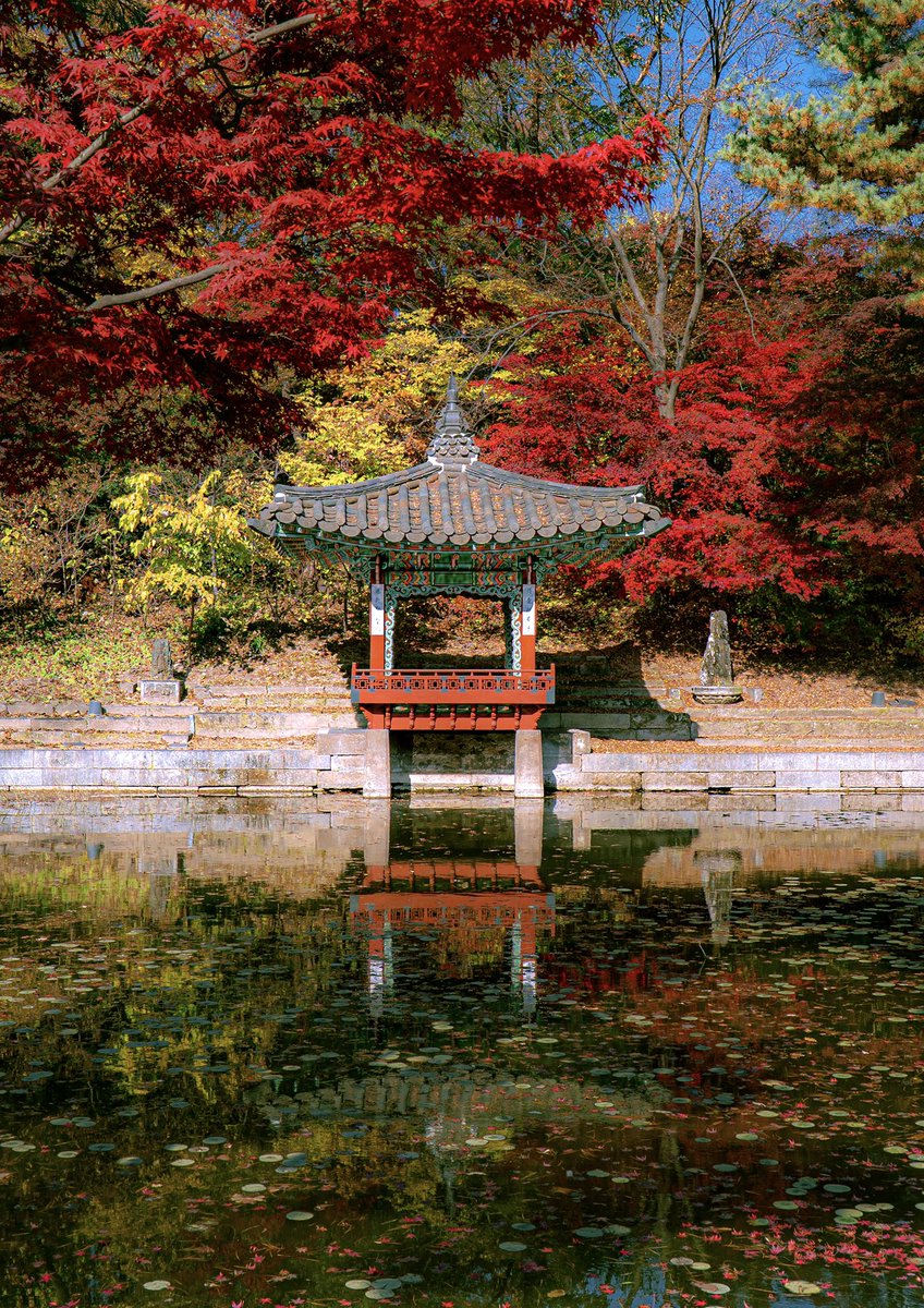 후원 예약 개빡세다고 불평해서 죄송합니다 :