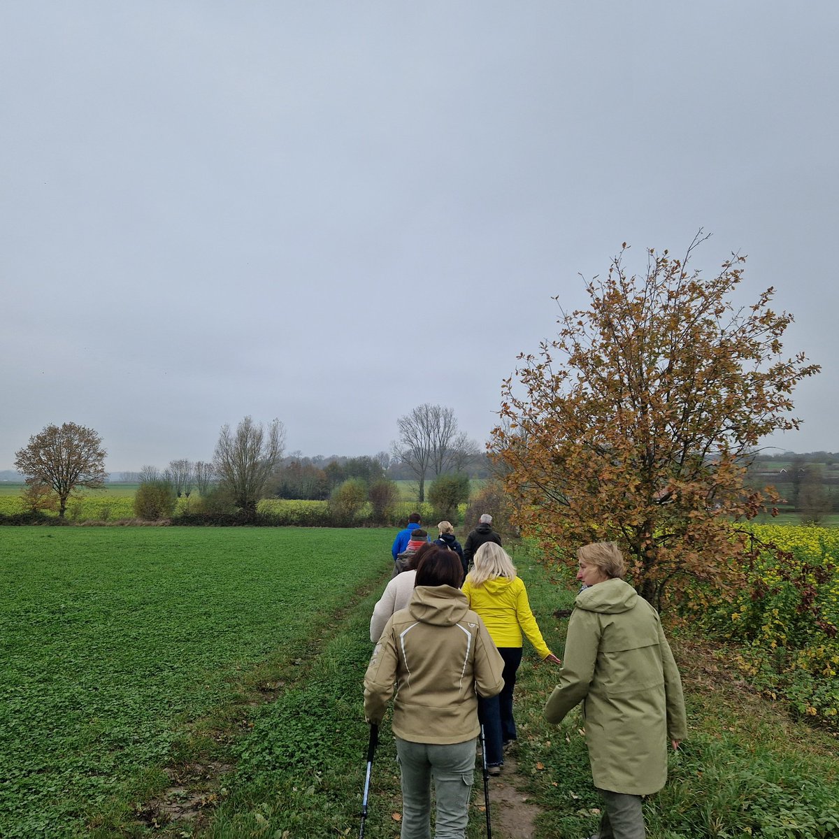 PeterDR007's tweet photo. #vrtweer
Nukerke 16/11/25 14u20 https://t.co/0B3Wyv0KUN