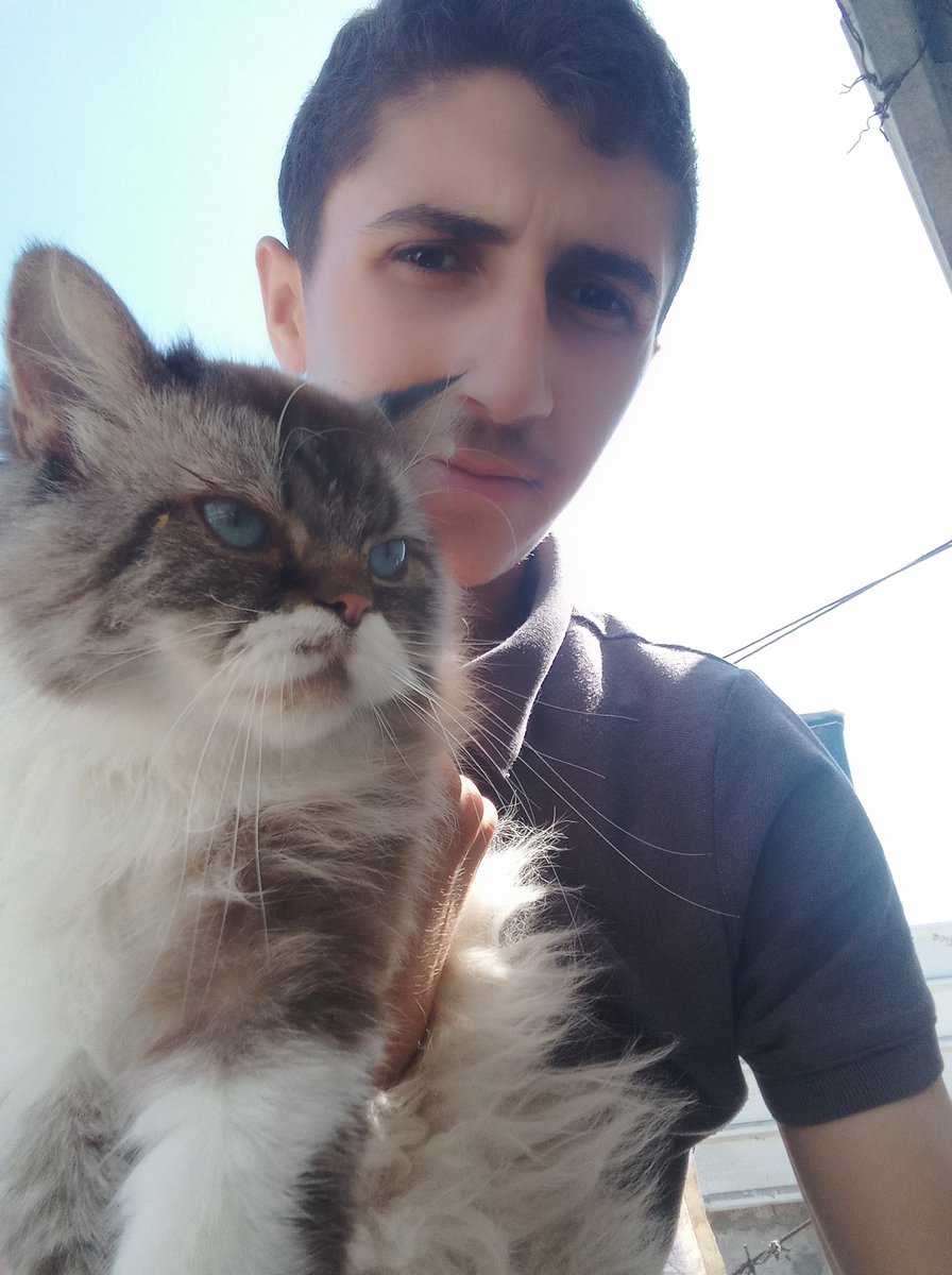 nobody loves me
nobody listens  

I don't want likes. I don't want views. I just want to eat.

If you're browsing, please leave a dot. It's just a dot.
Nobody hears me

chuffed.org/project/129302…

paypal.me/alatahelluin