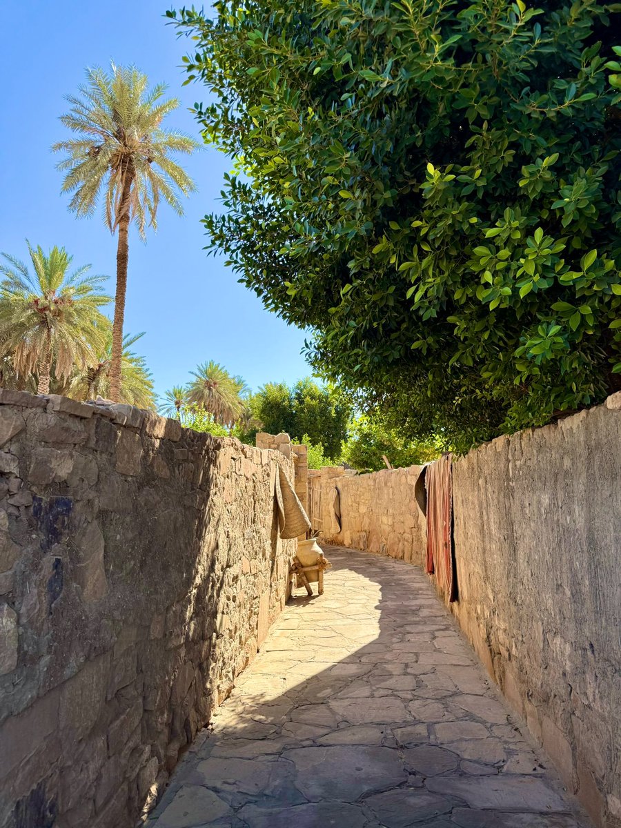 SaudiMagazine's tweet image. Photo by @ThompsonMarkC  #SaudiArabia