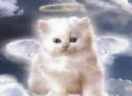 целенаправленно искать музыку и слушать ее альбомами / рандомно наткнуться на песню и слушать только ее всю следующую неделю