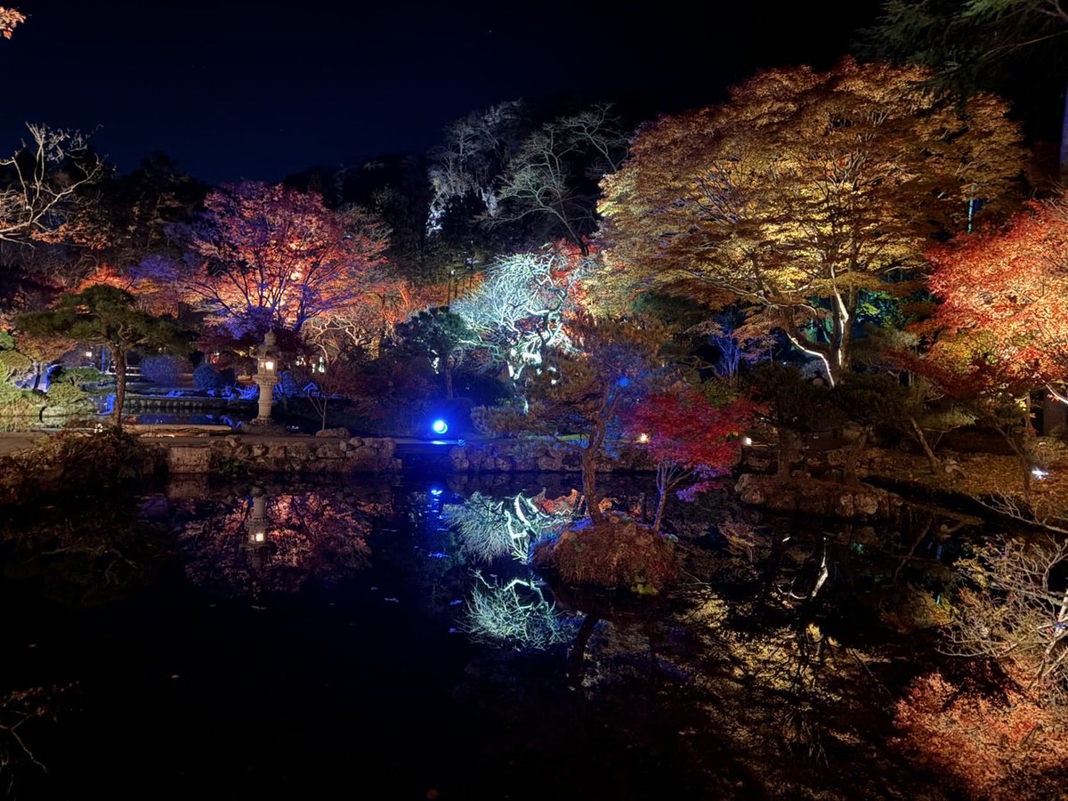 #秋保ナイトミュージアム