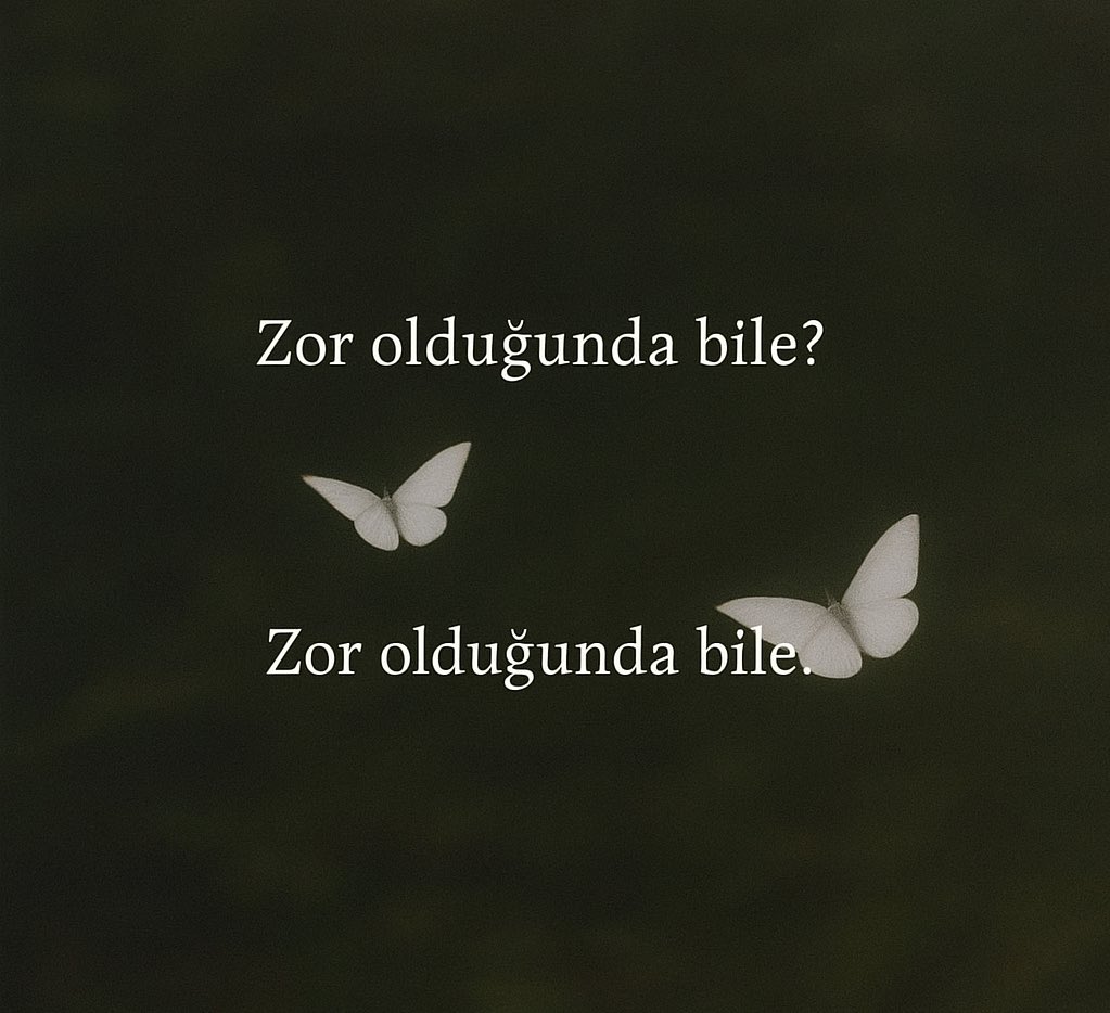 Kitap Kurdu 🐛 (@sivrikalem34) on Twitter photo 