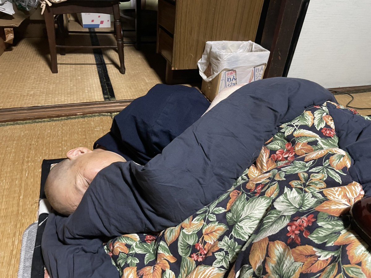 ツイ担に撮られるから刺さらぬ！！！！

と

思ったのかな？と思った矢先に埋もれた庵主さん

ついに

こたつはヒト族が埋もれる場となりました