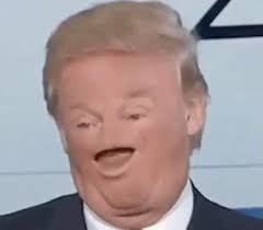 <a href="/RepNancyMace/">Rep. Nancy Mace</a> Who, Defect Donald???