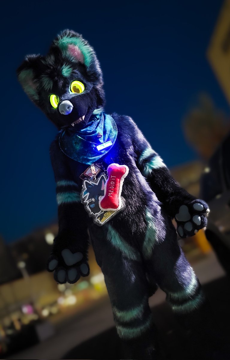 Nojsu 🇵🇱 tweet media