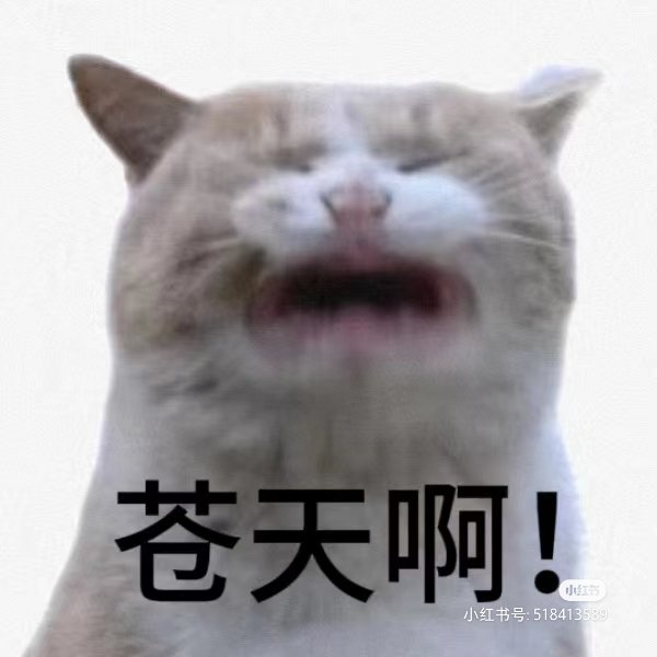 寂明空海 tweet media