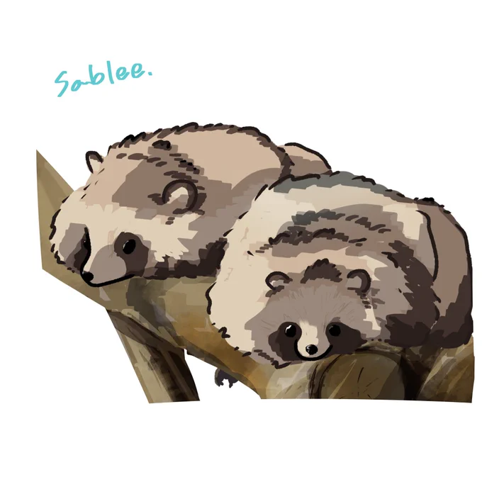 タヌキを描きました