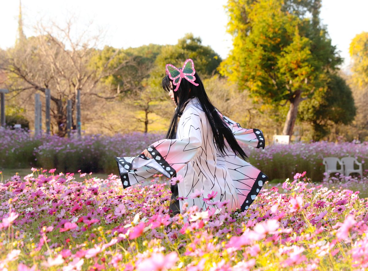 kosmos♡ページ 有)青木園芸さま @aokiengei コスモス Wクリックスノーパフ、W