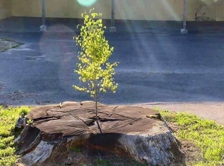 No matter what happens in your life, you can always restart, reform, rebuild, and refocus again.