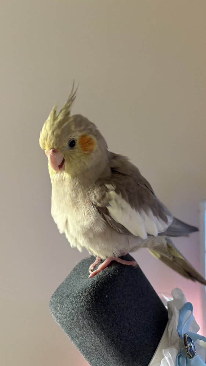 Madoka ྀིྀིིྀ tweet media