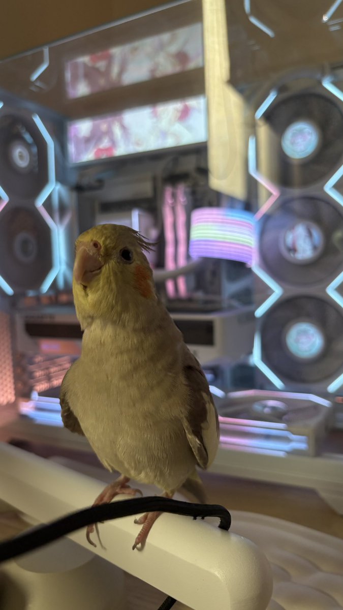 Madoka ྀིྀིིྀ tweet media