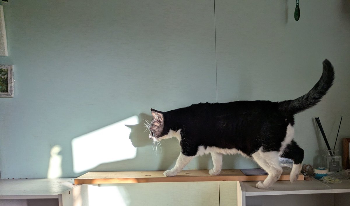 みわ みぞおち (@2610Am) / Posts / X