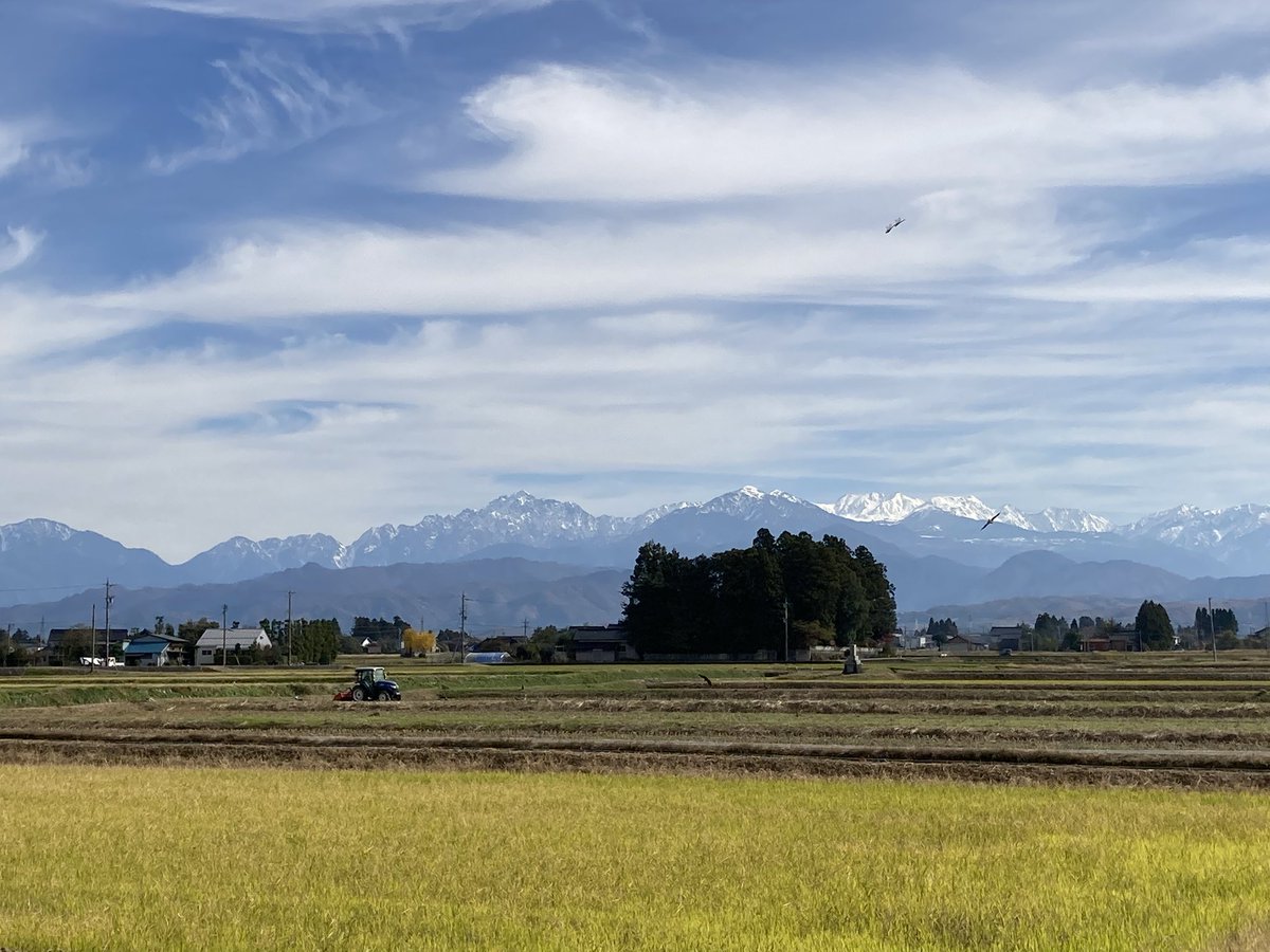 pengo3go's tweet image. 日帰り富山楽しかった！