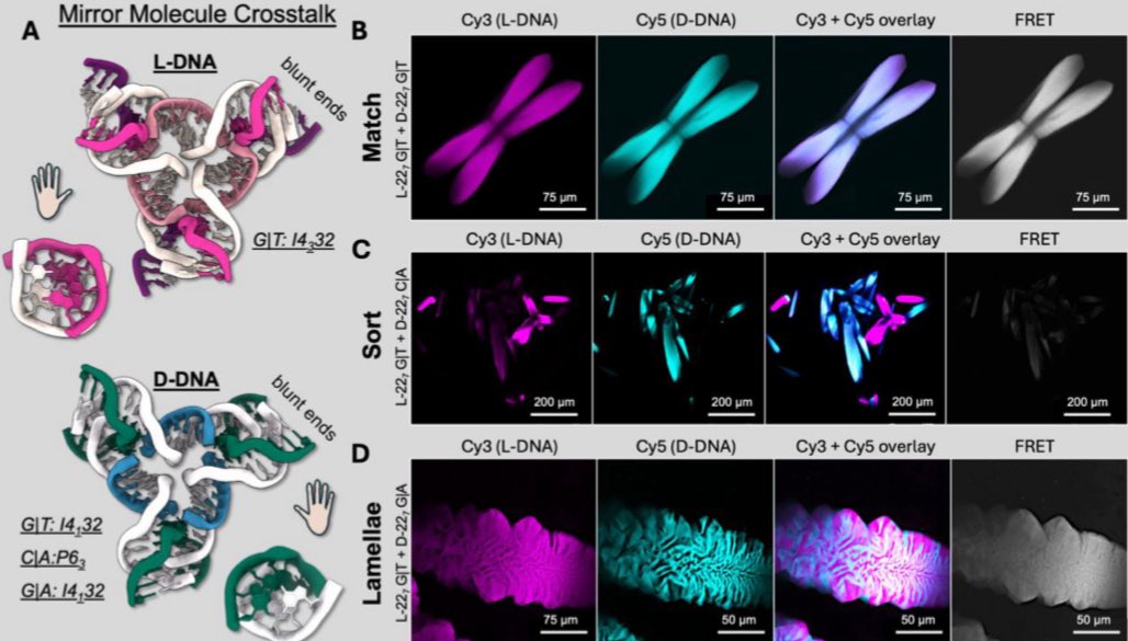 Yoel Ohayon tweet media