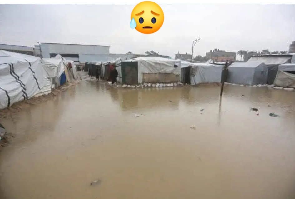 bouchraSahrane's tweet image. النداء الأخير لمن يهمه الأمر رسميا غـۯة الآن تغـ،ـرق الآن تحدثوا عنهم💔
#غزة_تغرق