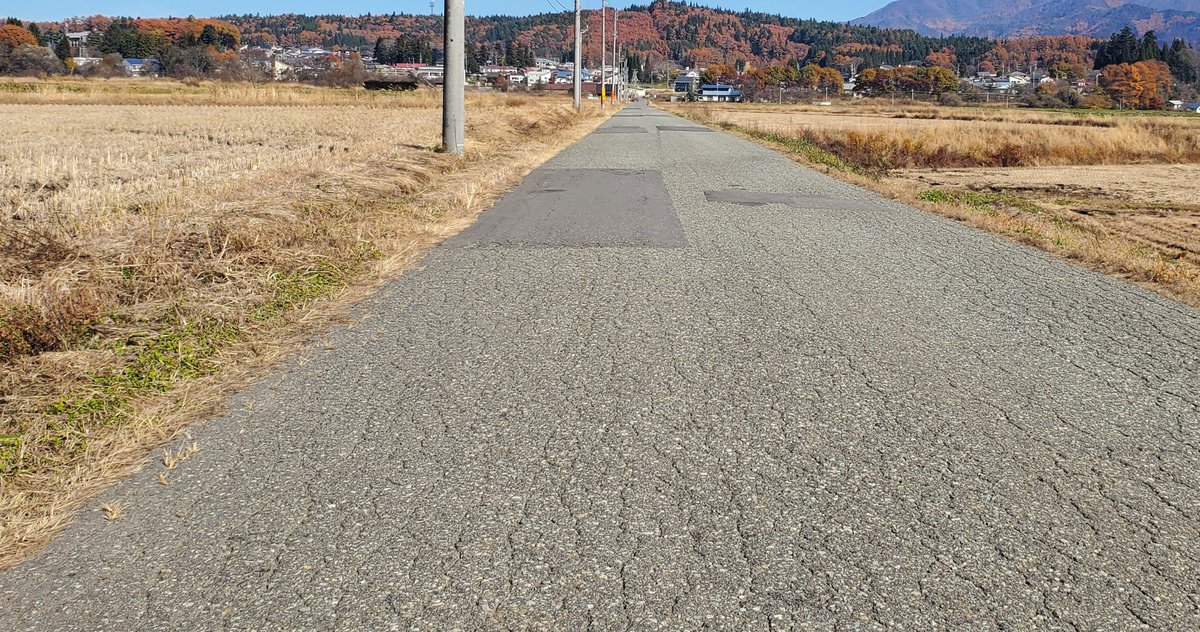 映画『#秒速5センチメートル』#ロケ地 探訪
岩舟駅から桜の樹に向かう道
#松村北斗
#上田悠斗 #白山乃愛
#奥山由之 #新海誠
#信濃町