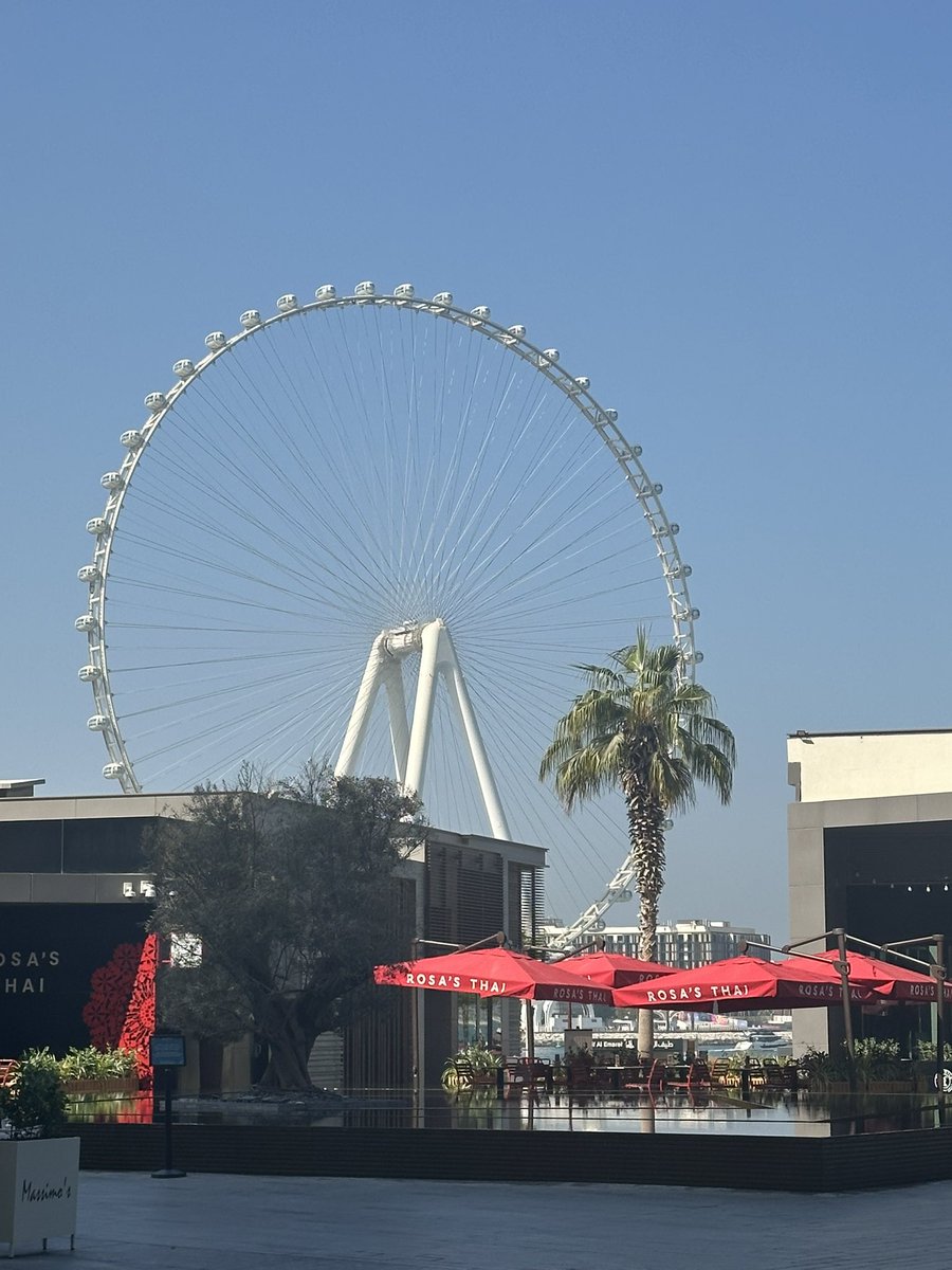 Elizabeth tweet media