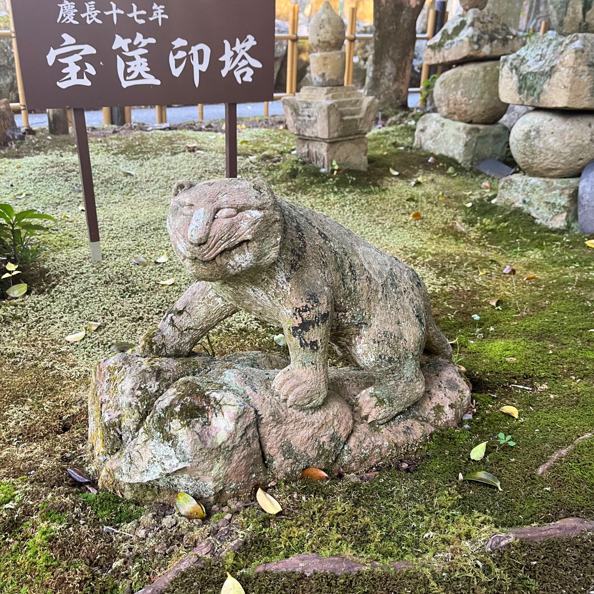 その後、近くにある羅漢寺へ🙋‍♂️ 笑い顔や泣き顔など 表情豊かな