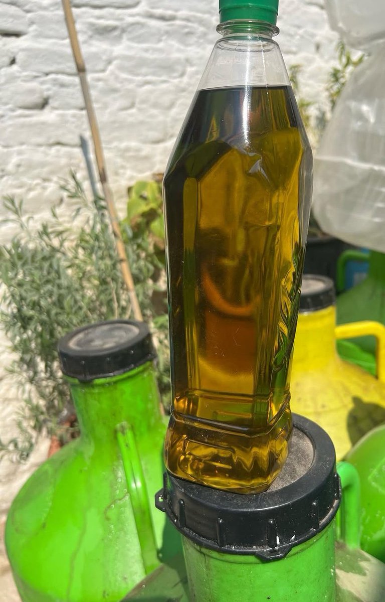 Duyurusu

🔥 Haftaya Özel Zeytinyağı İndirimi!
Erken hasat naturel sızma zeytinyağında
2 alana kargo BEDAVA!

🛒 Stoklar sınırlı
📩 DM’den hemen sipariş ver!