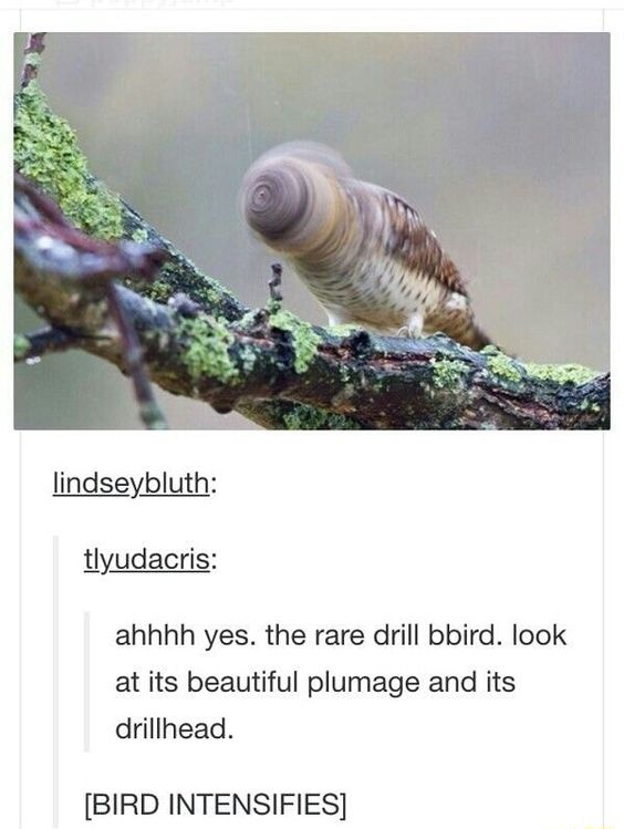 WholesomeMemes tweet media