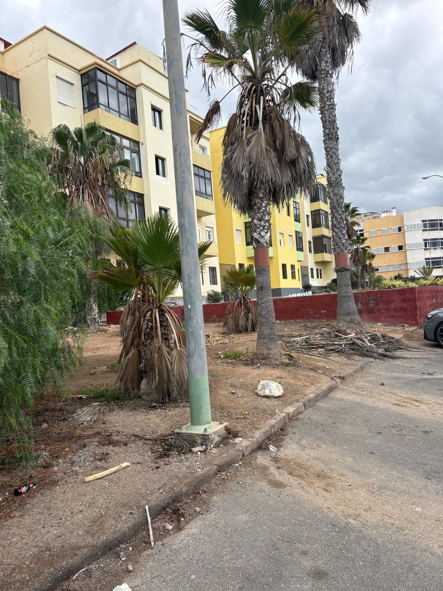 ppciudadalta's tweet photo. 📍Visitamos Cuatro Cañones para escuchar las demandas de los vecinos y seguir construyendo nuestro proyecto de ciudad

💔 Las Palmas de Gran Canaria está abandonada, con un gobierno municipal que desoye las necesidades de los vecinos

✌🏻Seguiremos siendo la voz de los barrios https://t.co/1mw1XlvcqT