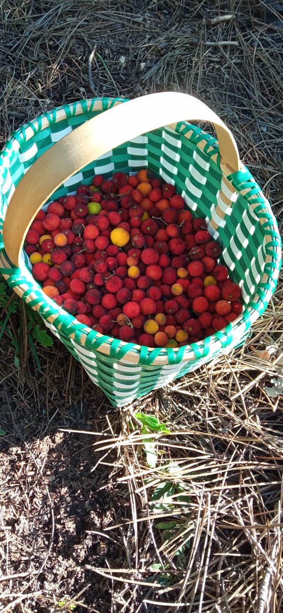 Ne güzel yaratmış seni yaradan..