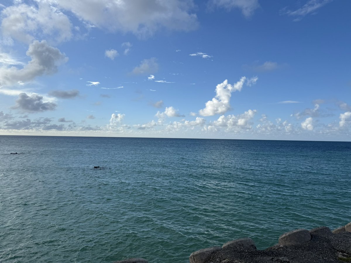 Khronos_Chronus's tweet image. 少し前に沖縄宮古島に☀️🏝️
3泊4日でしたが初日だけ晴れて後はスコールに見舞われながらも自然を浴びてきました🌊
暑いの苦手だけどもう少し快晴の風景も見たかった
風景もご飯もゆったりとした時間と共に楽しみました！
あれですね、風景と食事は撮っても自撮りやらないもんだよね😆
#沖縄
#宮古島