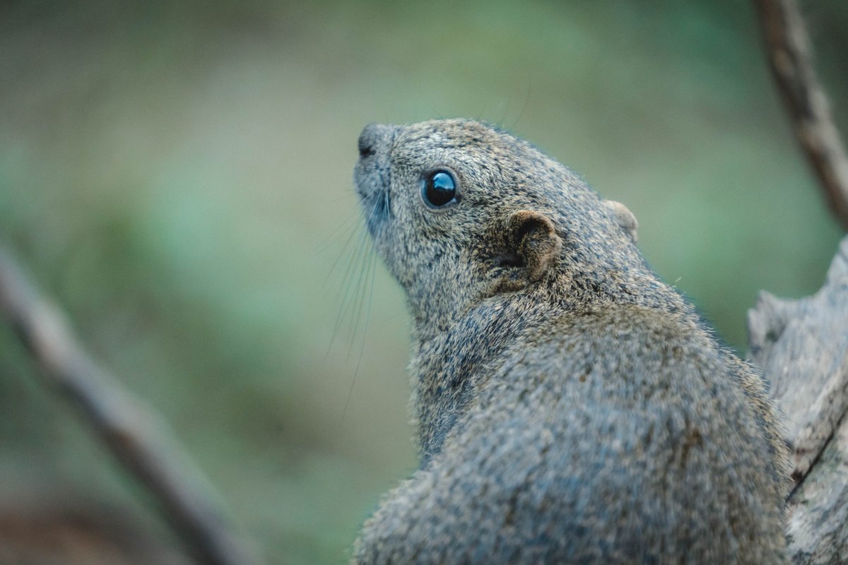 かわいいね

#a6300
#tamron
