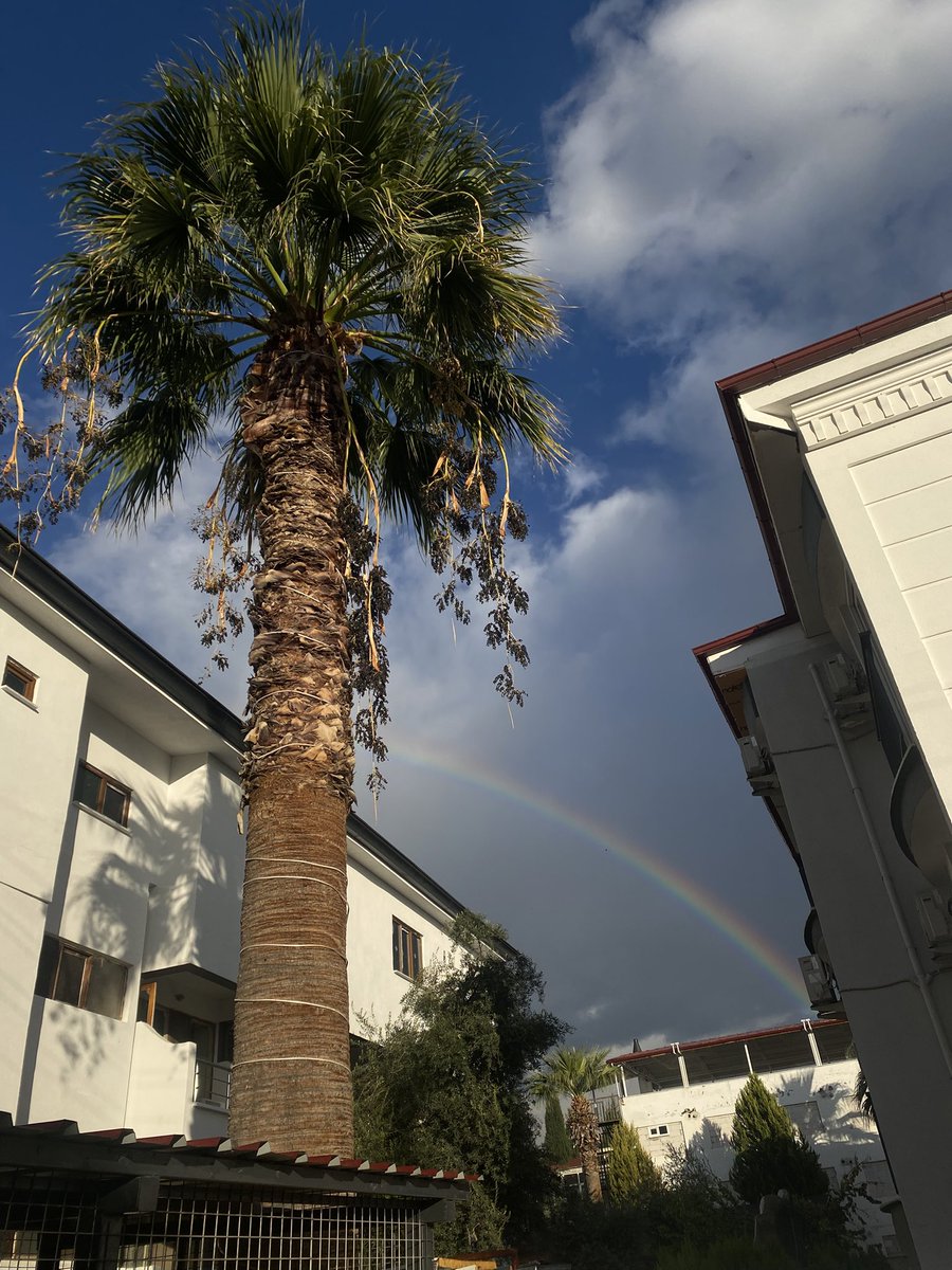 VERA (@miyminik) on Twitter photo 