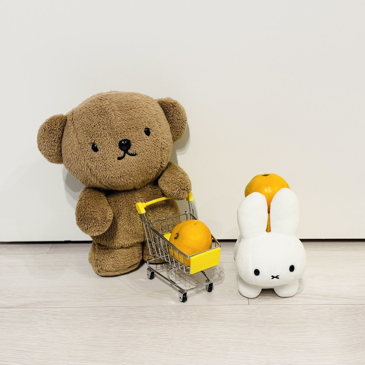 ボリス / Boris (@BorisPori) / Posts / X