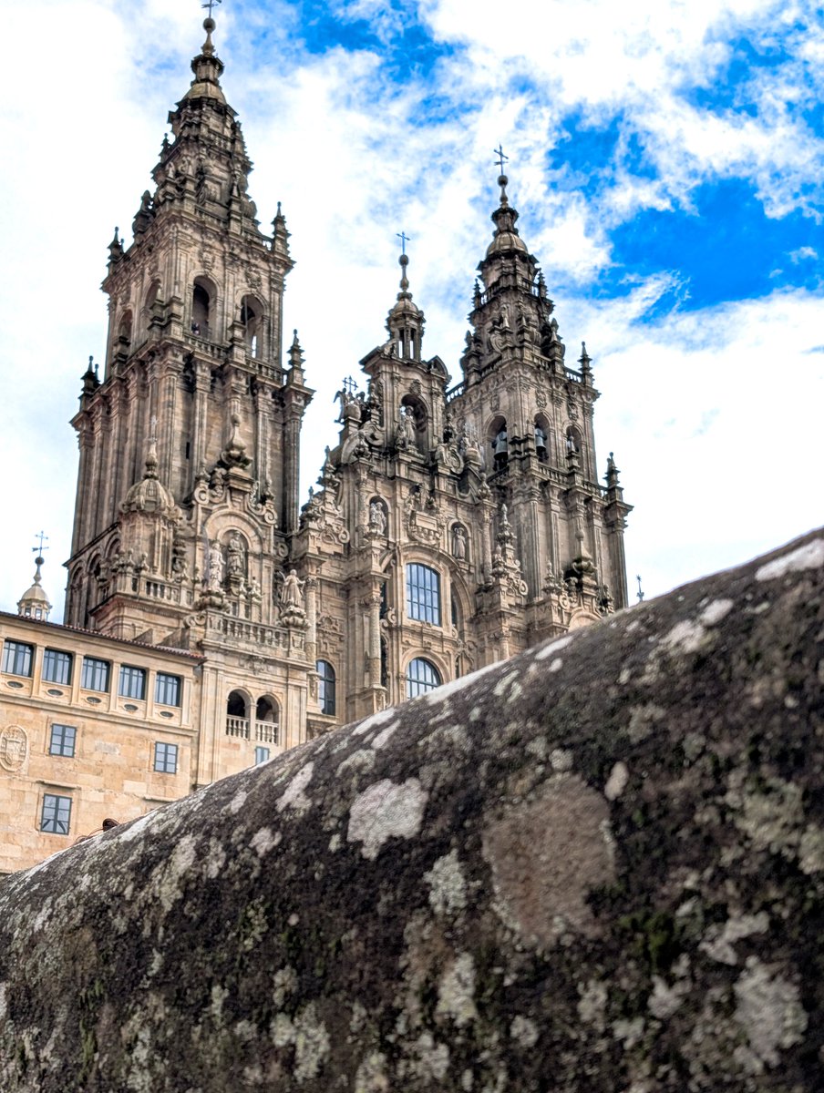 dani90's tweet image. 