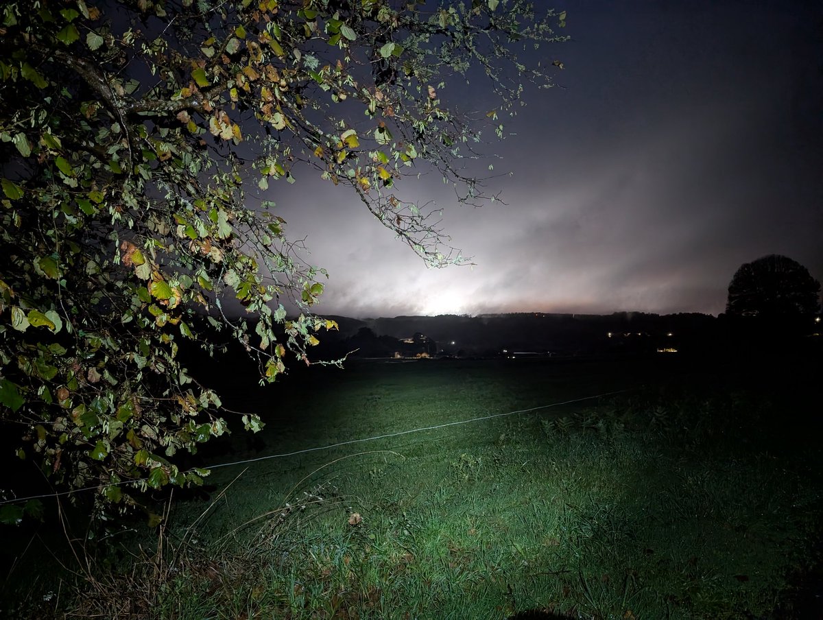 dani90's tweet image. 