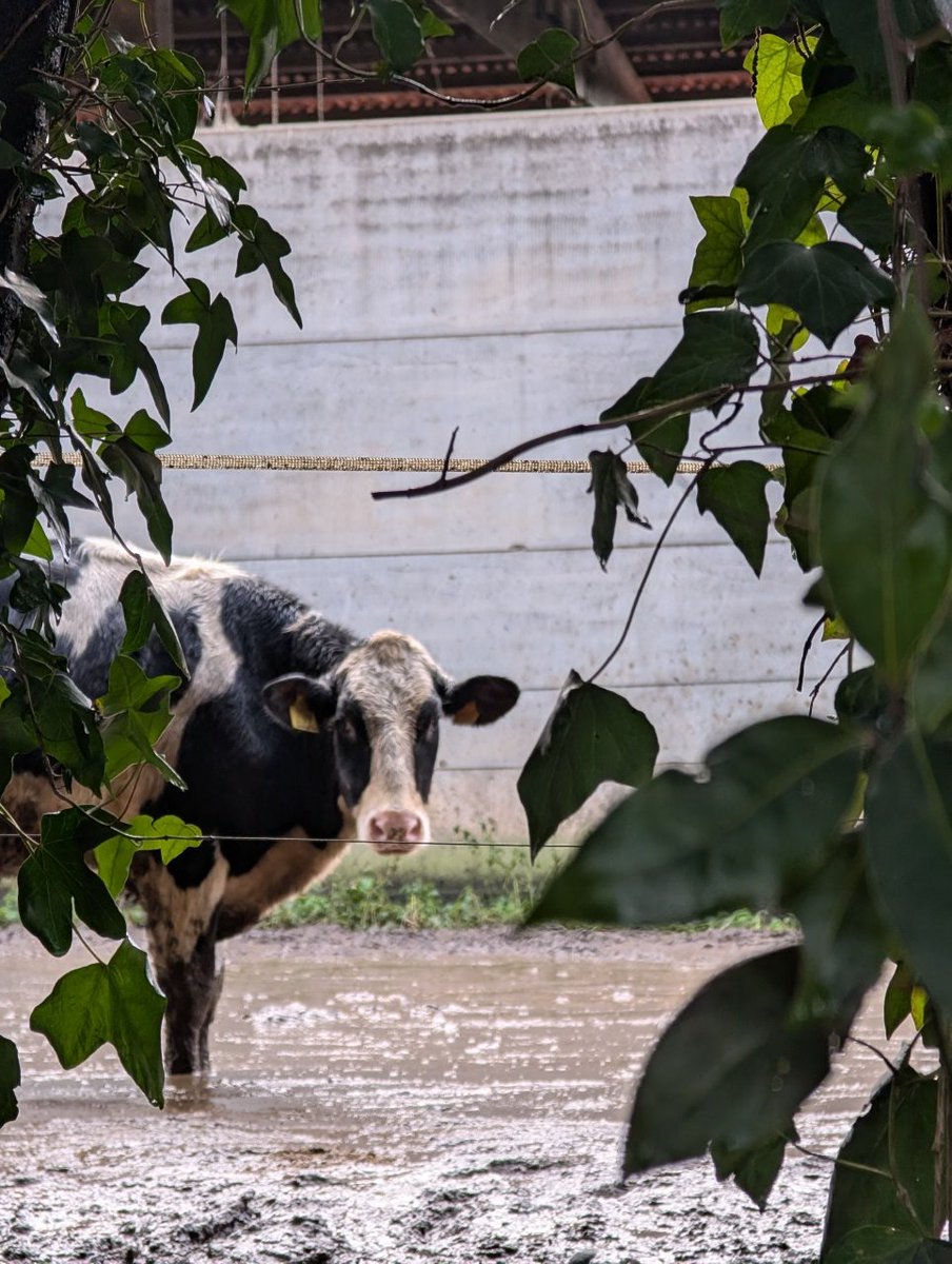 dani90's tweet image. 