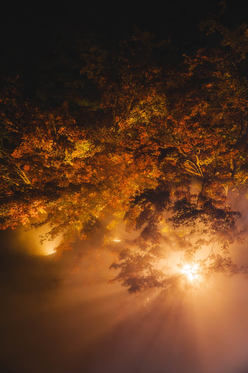 グラデーションがきれい