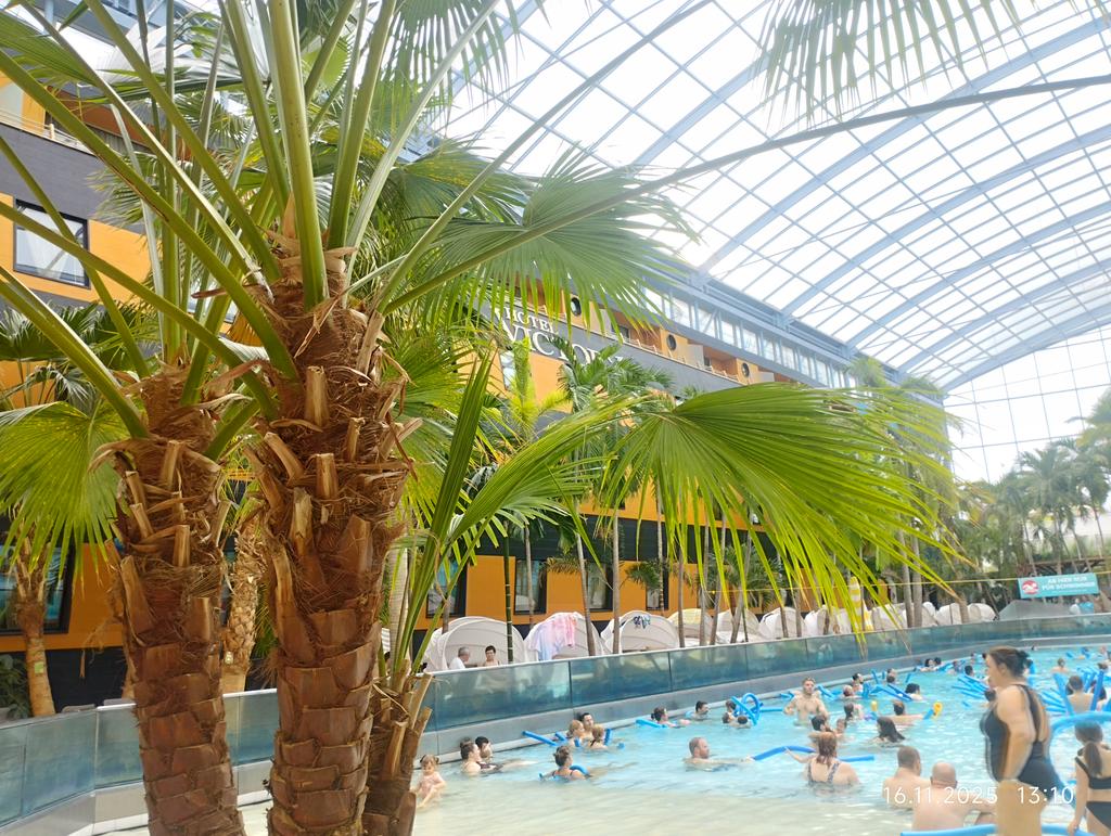 Arhitektot so kafeto (@sokafeto) on Twitter photo 