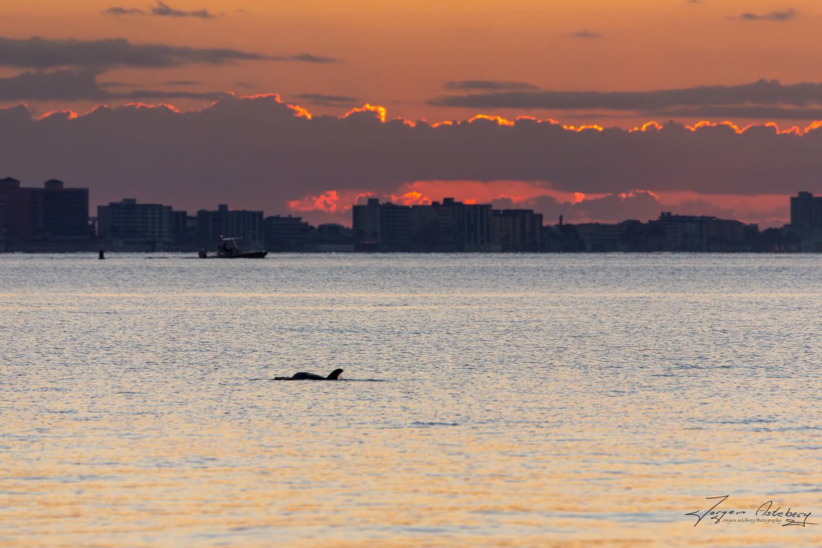 jka62's tweet image. Gorgeous Sunday morning sunrise at the Sanibel Island causeway @MattDevittWX
