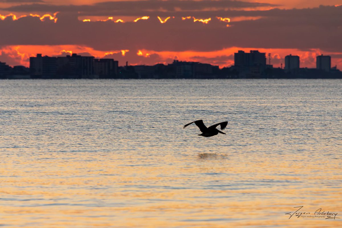 jka62's tweet image. Gorgeous Sunday morning sunrise at the Sanibel Island causeway @MattDevittWX