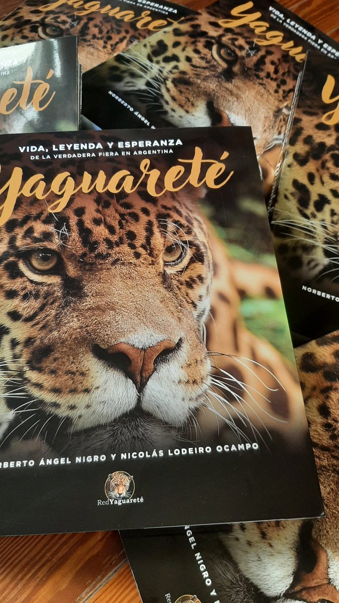 Llega fin de año, época de regalos y agasajos y QUÉ MEJOR que este fantástico libro para quedar de la mejor manera y obsequiar algo para toda la vida.

Podés comprar el GRAN LIBRO DEL YAGUARETÉ y recibirlo con ENVÍO GRATIS A TODO EL PAÍS y además pagarlo hasta en 12 CUOTAS. Para